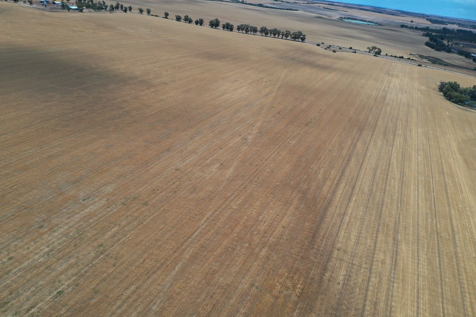 Miling WA 6575 - Farm for Sale | Domain