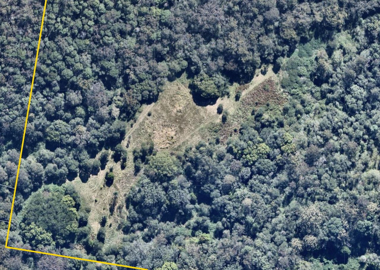 Lot 111 Finch Road, Canungra QLD 4275, Image 1