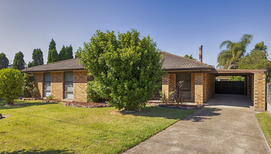 Picture of 10 Bolwarra Road, BOLWARRA NSW 2320