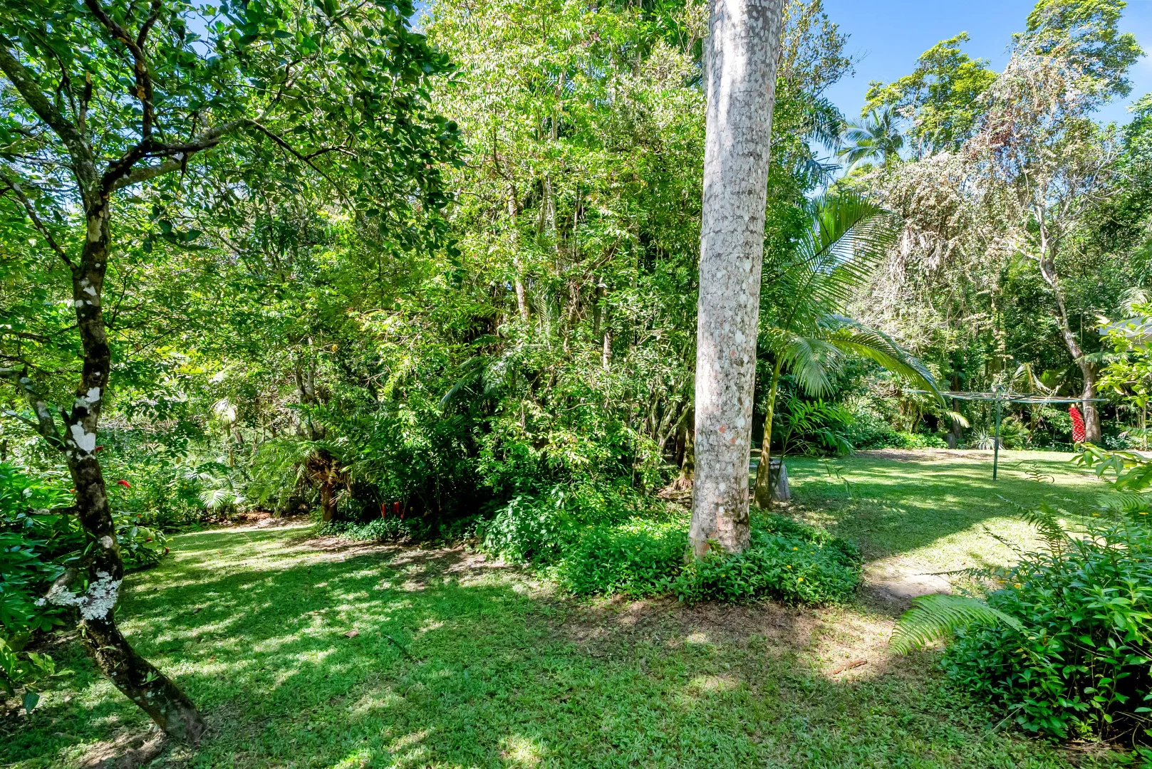 Additional image 19 of 27 Warril Drive, Kuranda QLD 4881