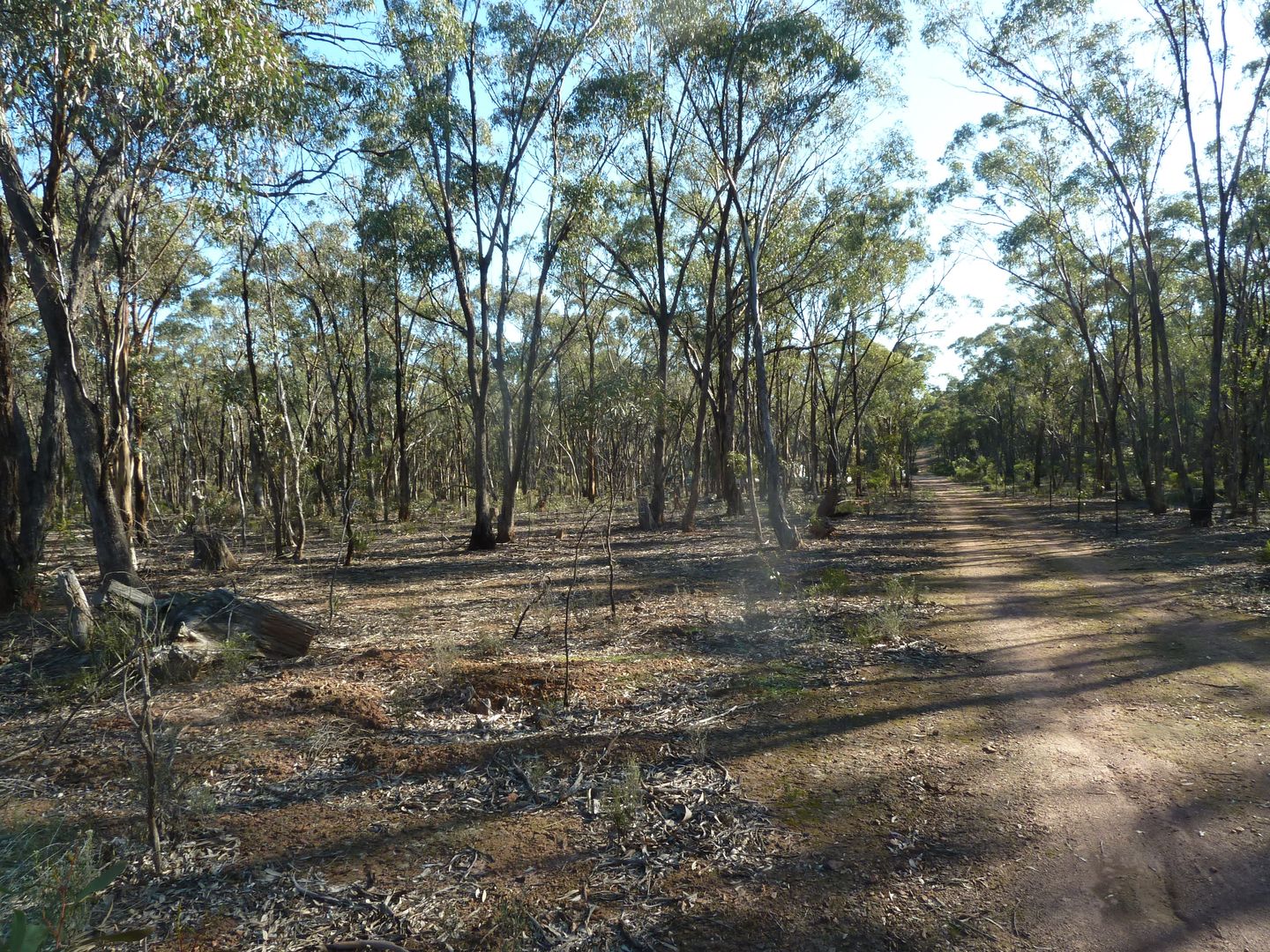 Lot 27 Wallaby Way, Wedderburn VIC 3518, Image 2