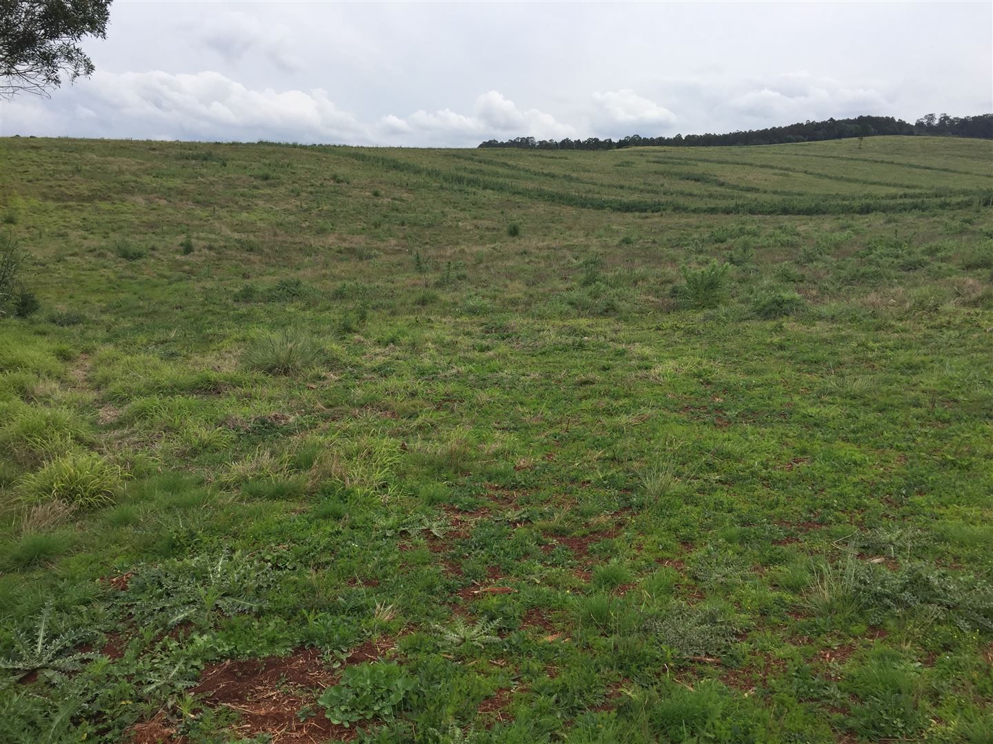 0 KARINGAL Road, Kingaroy QLD 4610 Specialist Farm for Sale 1,000,000