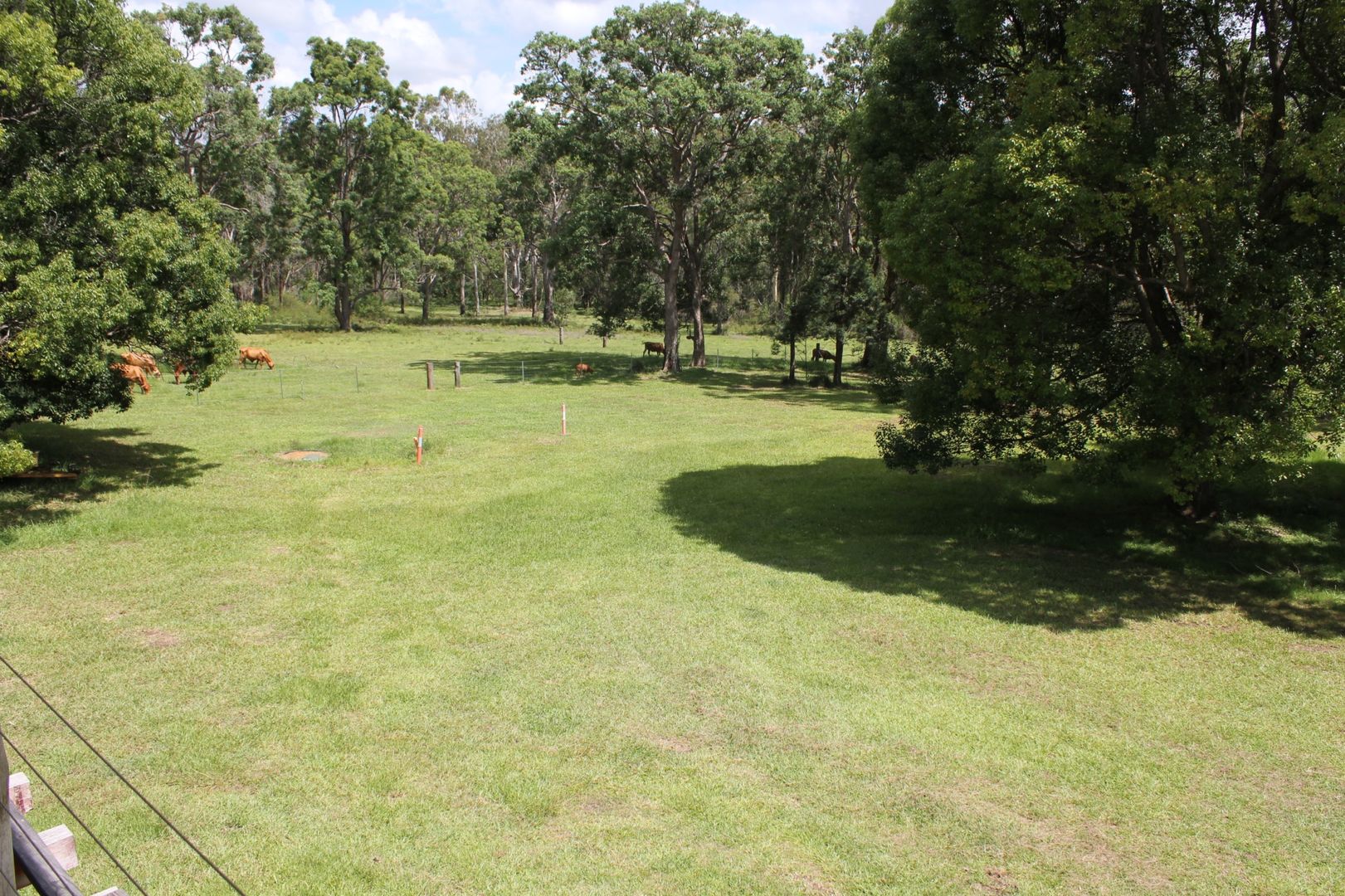 Lot 28 Bald Knob Tick Gate Road, Halfway Creek NSW 2460, Image 2