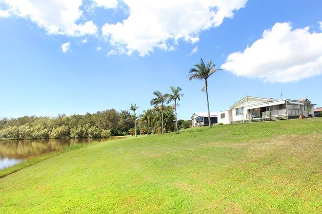 Picture of 28/171 David Low Way, BLI BLI QLD 4560