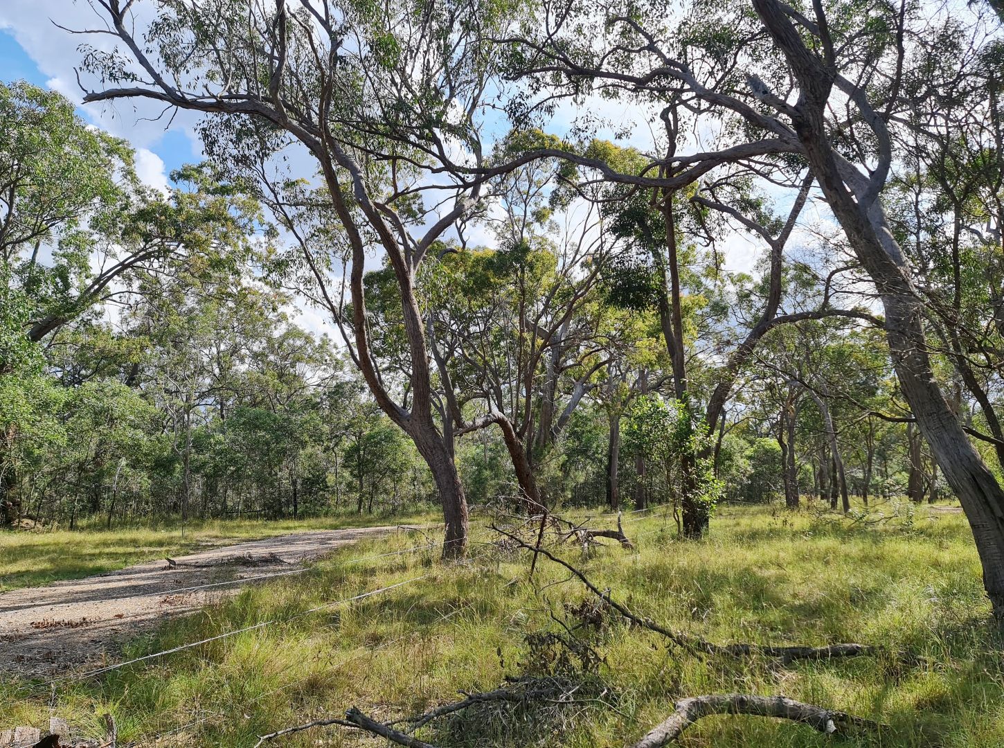 Torbanlea QLD 4662, Image 1