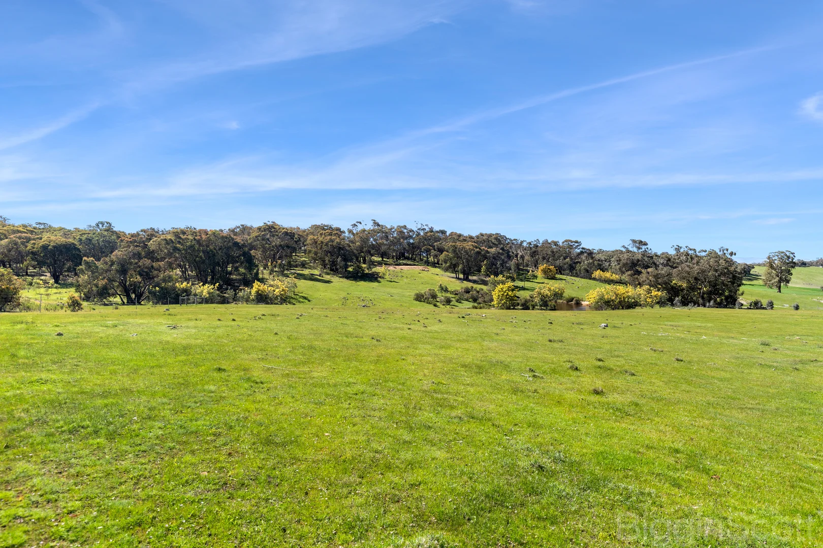 Image 13