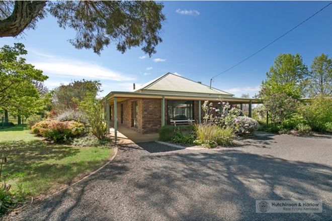 49 5 Bedroom Free Standing Houses For Sale In Armidale