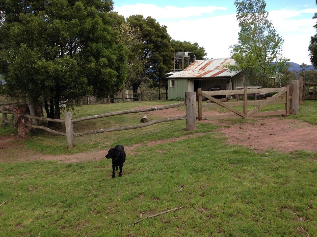 477 Bullplain Rd, Licola North VIC 3858, Image 1