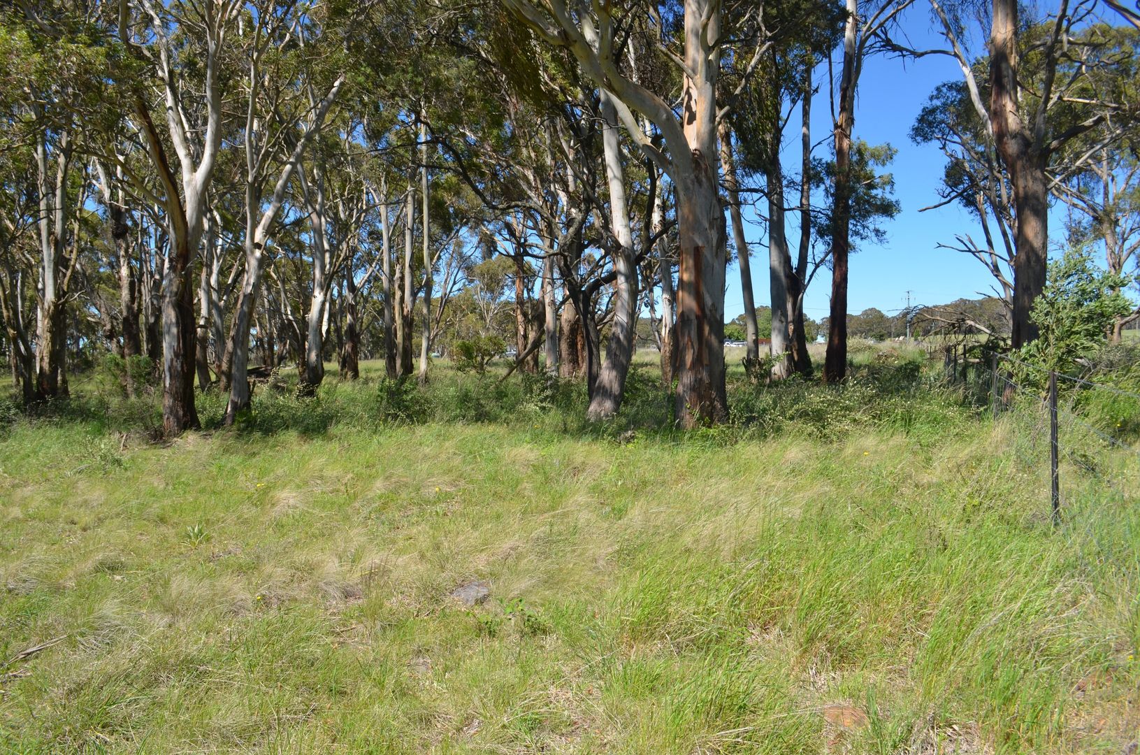 853 Black Mountain Rd, Black Mountain NSW 2365, Image 2