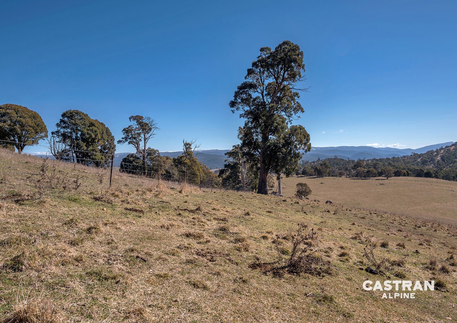 227 High Forest Road, Cobungra VIC 3898, Image 2