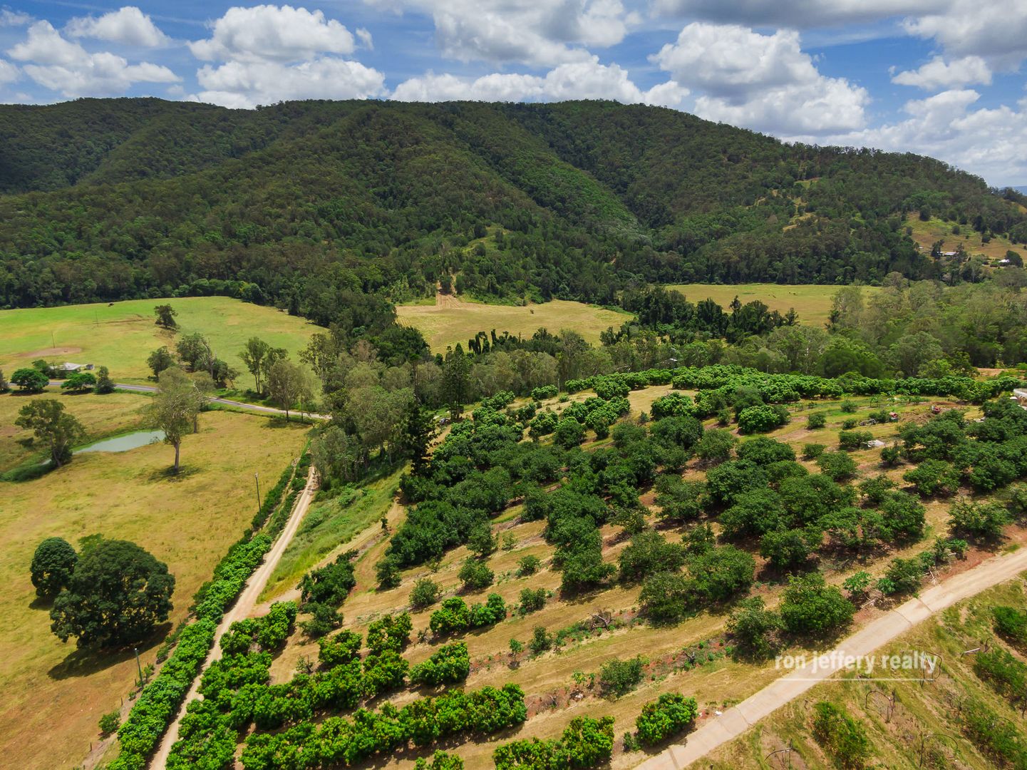 1205 Kandanga Creek Road, Upper Kandanga Property History & Address