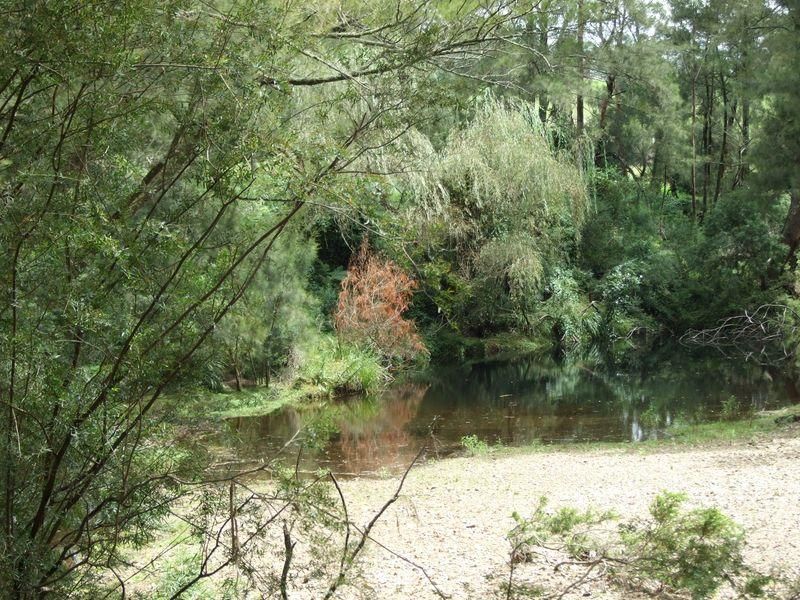 165 Dignams Creek Road, DIGNAMS CREEK NSW 2546, Image 2