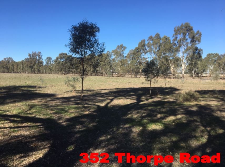 352 Thorpes Lane, Yielima VIC 3638, Image 1