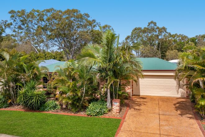 Picture of 2/2 Calliandra Place, THORNLANDS QLD 4164