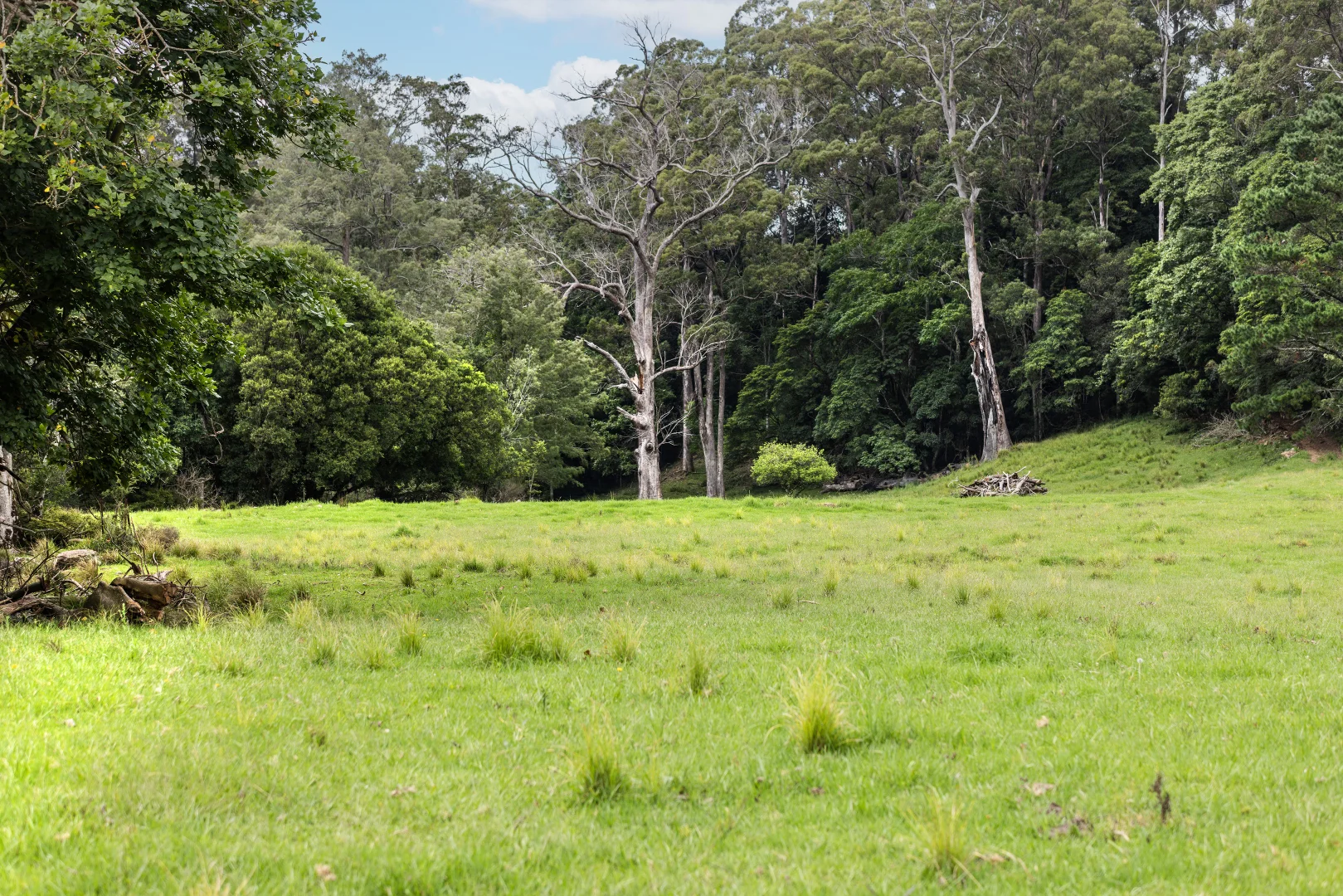 Image 18