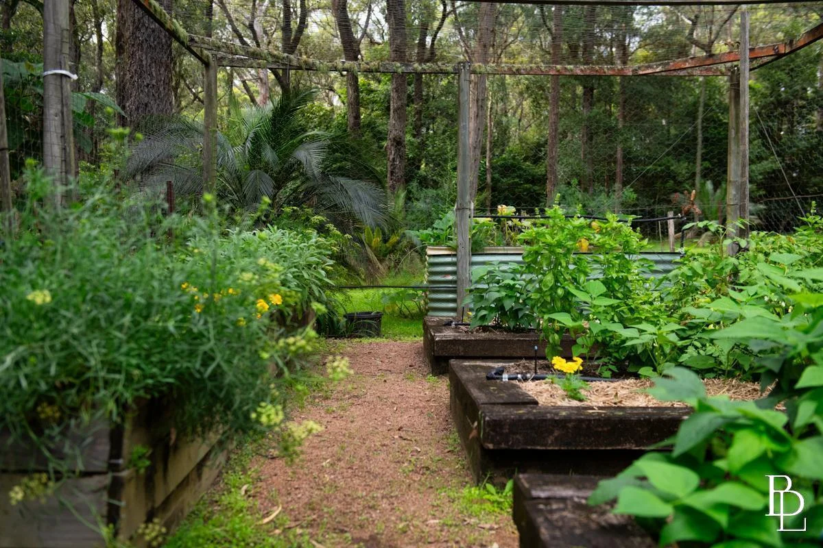 Additional image 32 of 332 Emerys Road, Tapitallee NSW 2540