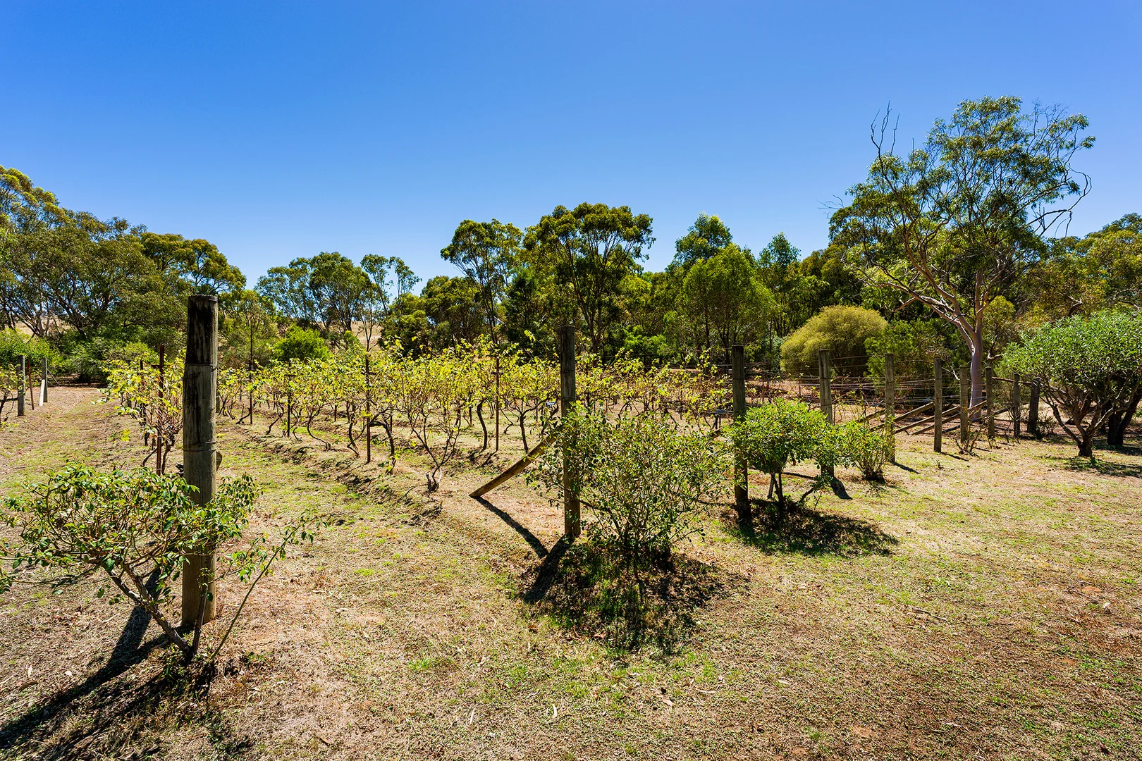 Additional image 36 of 132 Bells Reef Road, Maldon VIC 3463