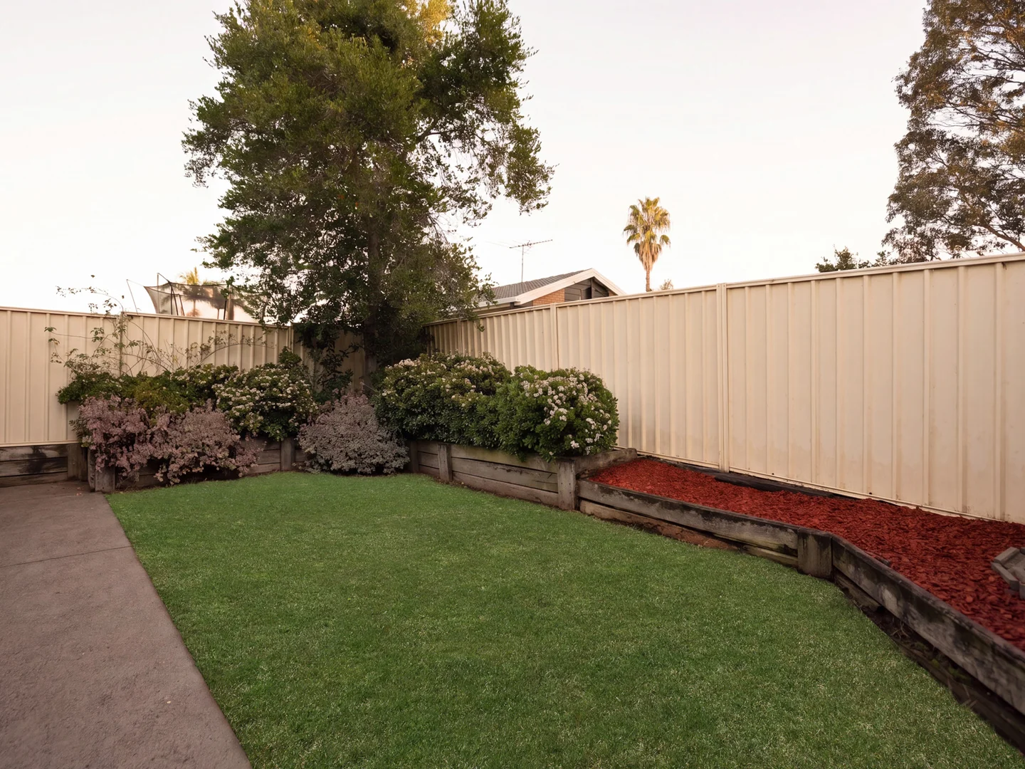 Image 12