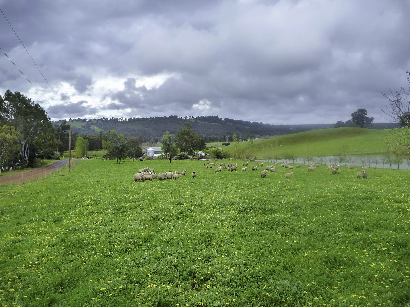 Additional image 23 of 89 Hearle Road, Mumballup WA 6225