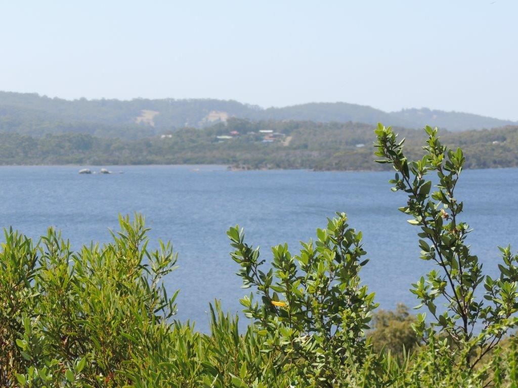 Lot 104 Nullaki Drive, Nullaki WA 6330 Domain
