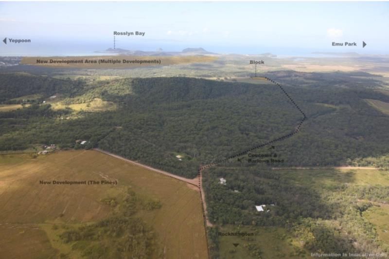 Taroomball QLD 4703 House for Sale Domain