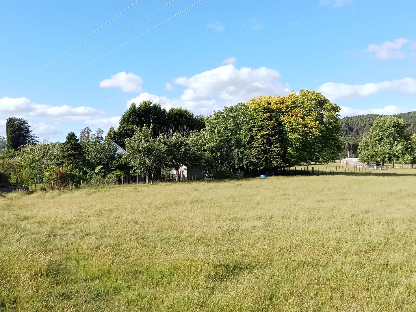 Additional image 6 of Springfield TAS 7260