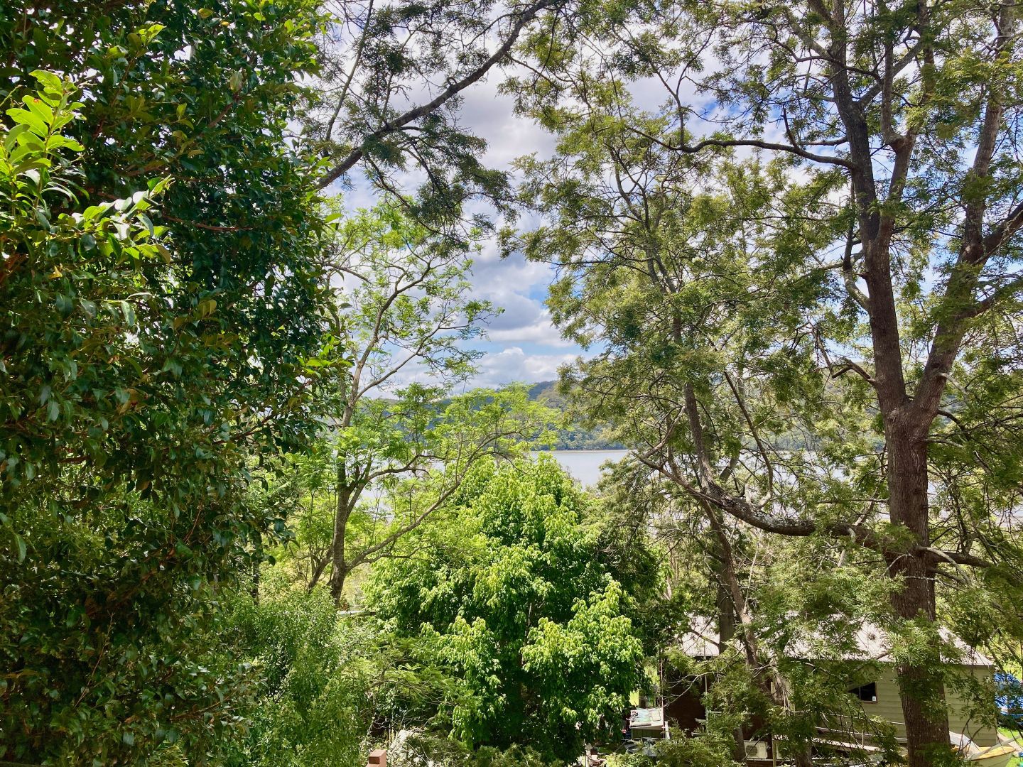 1/31a Pacific Highway, Mooney Mooney NSW 2083 Apartment For Rent Domain