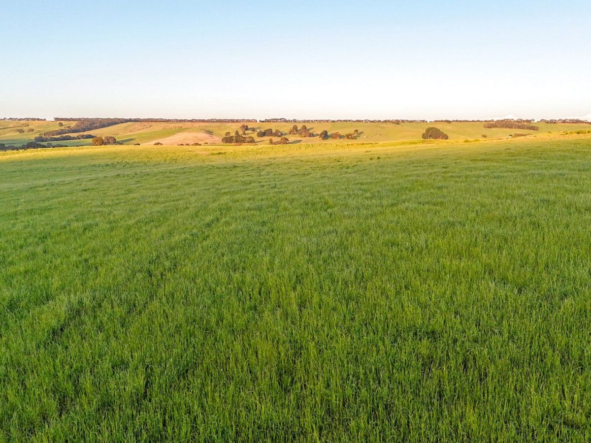 MerinoGrassdale Road, Merino VIC 3310 House for Sale Domain