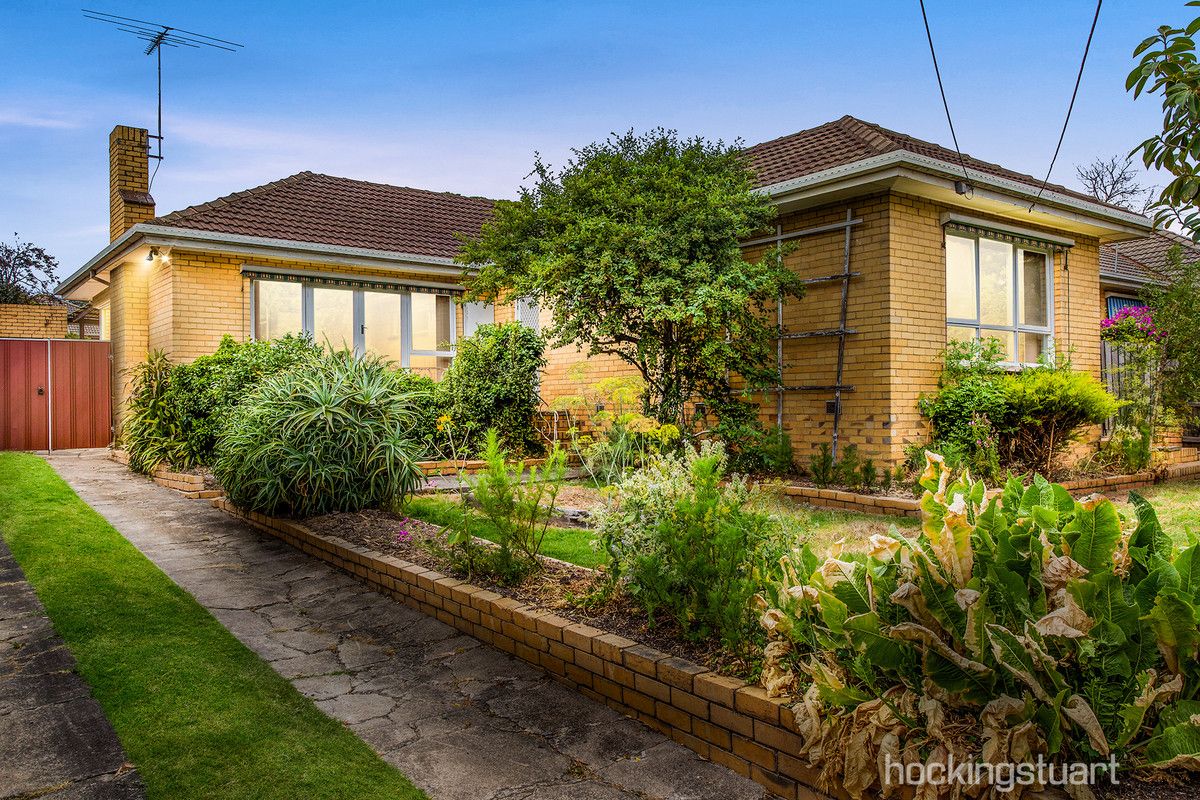 379 Springvale Road, Forest Hill VIC 3131, Image 1
