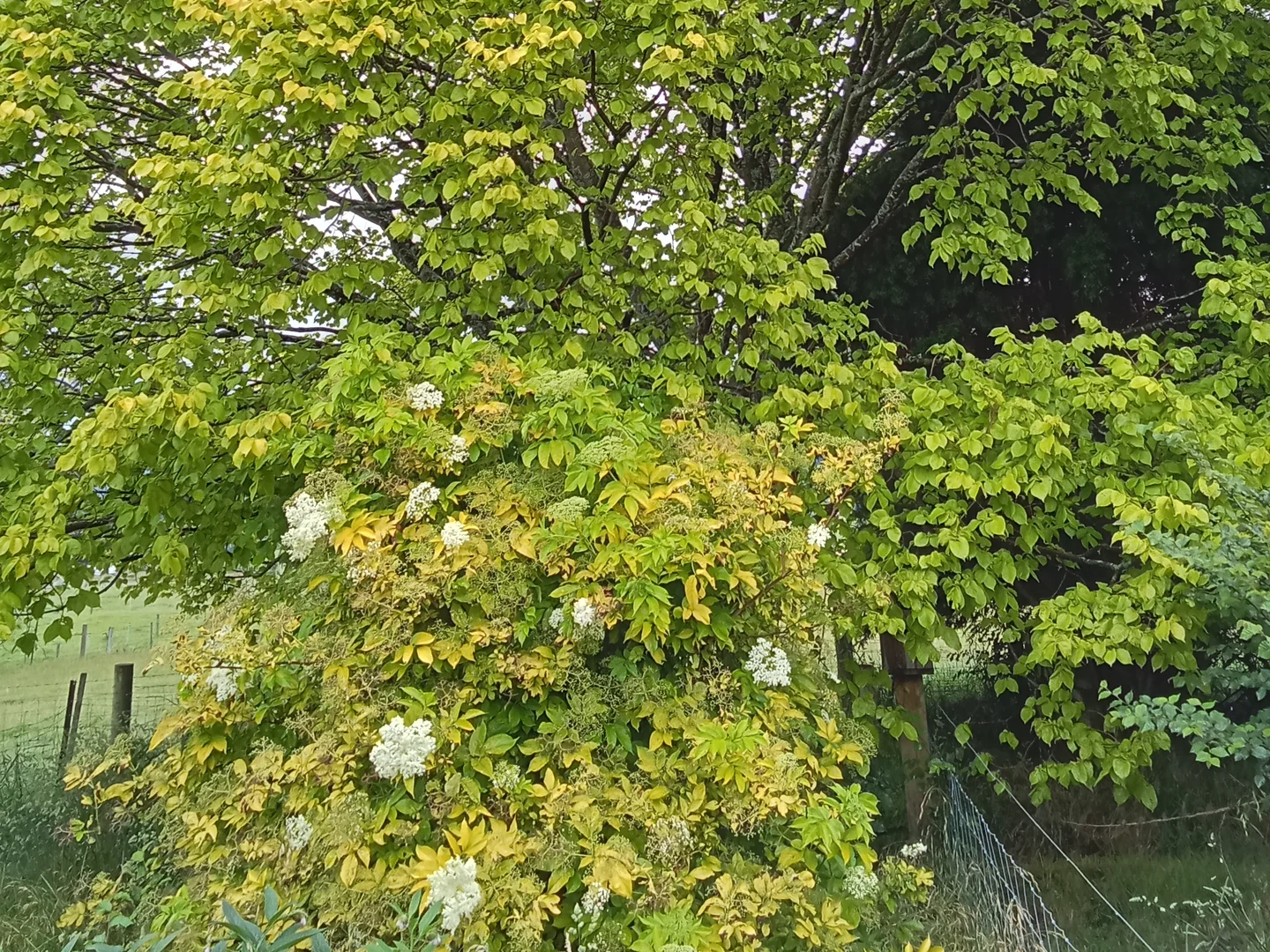 Additional image 26 of Springfield TAS 7260