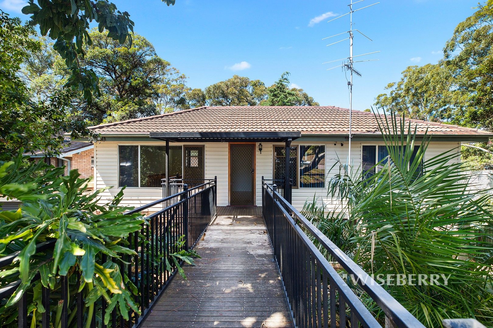 31 Kilkenny Parade, Berkeley Vale NSW 2261 House For Rent Domain