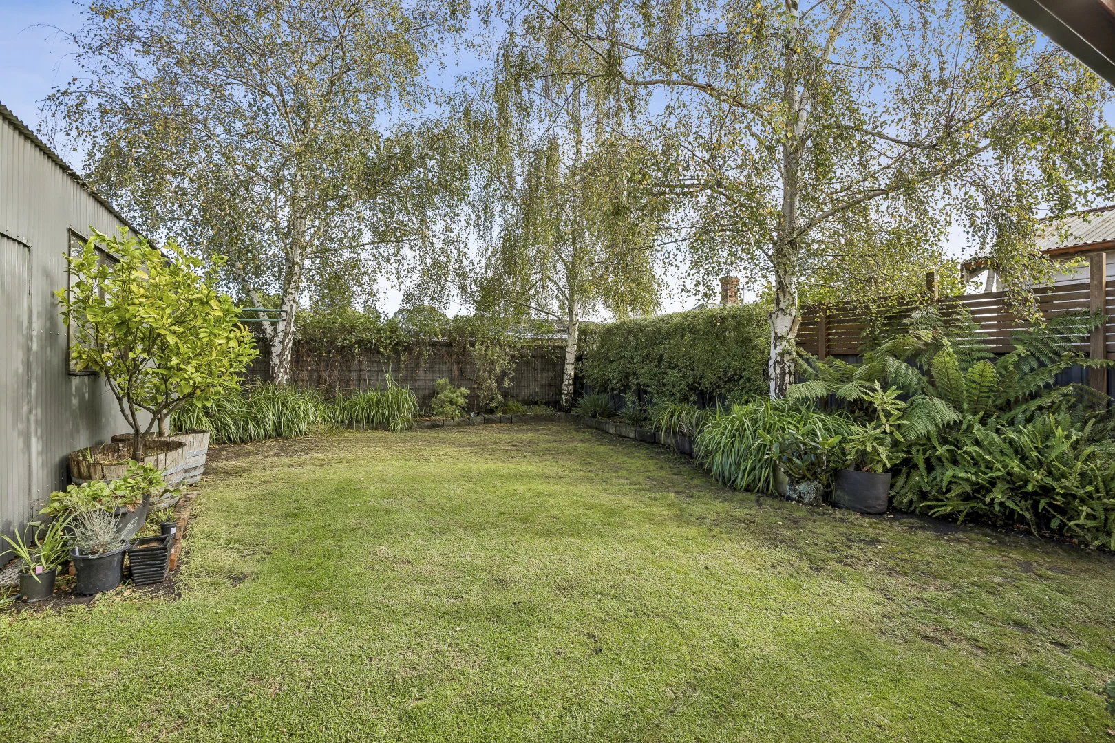 Image 15