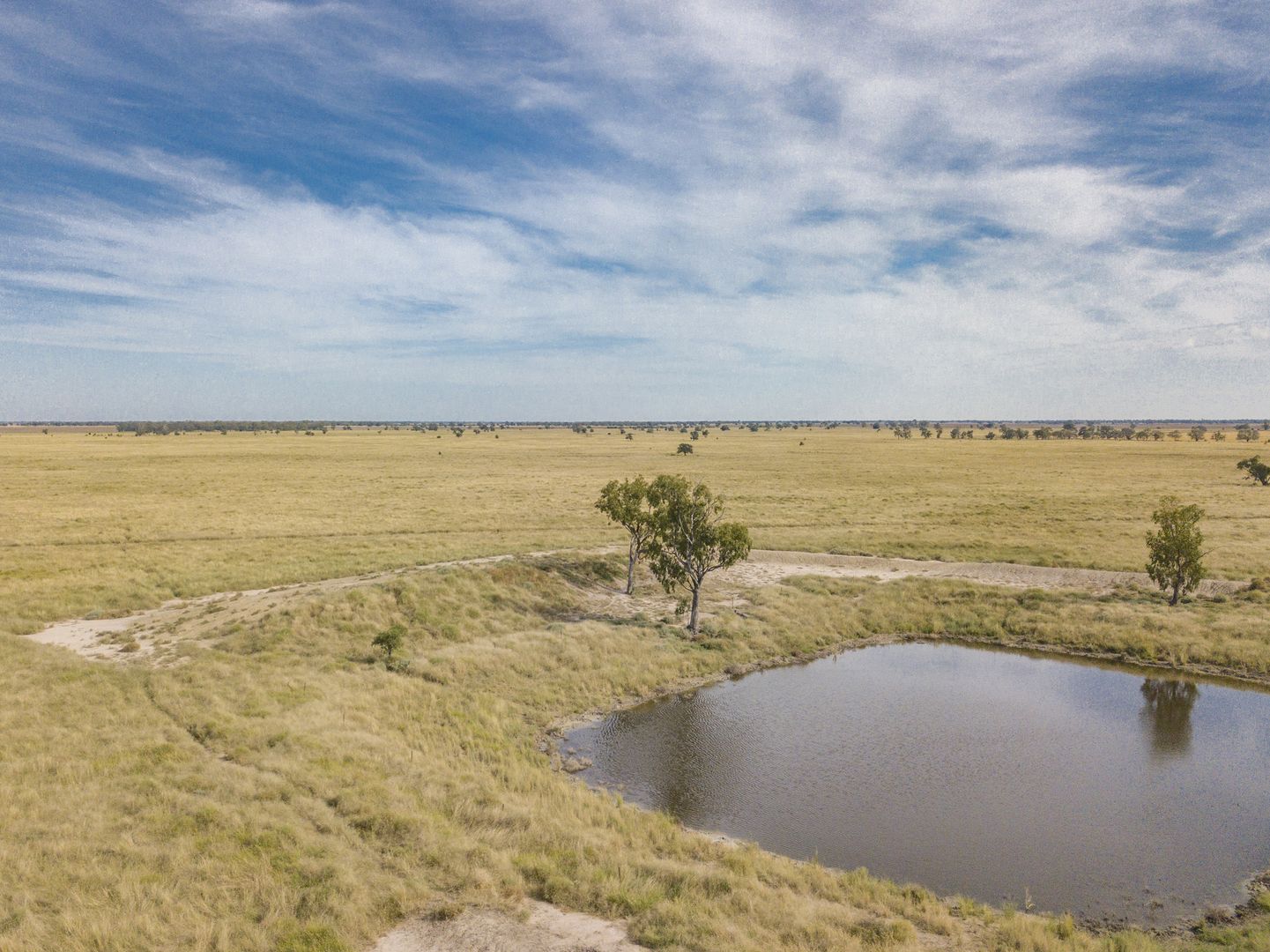 390 THARA ROAD, Coonamble NSW 2829, Image 1