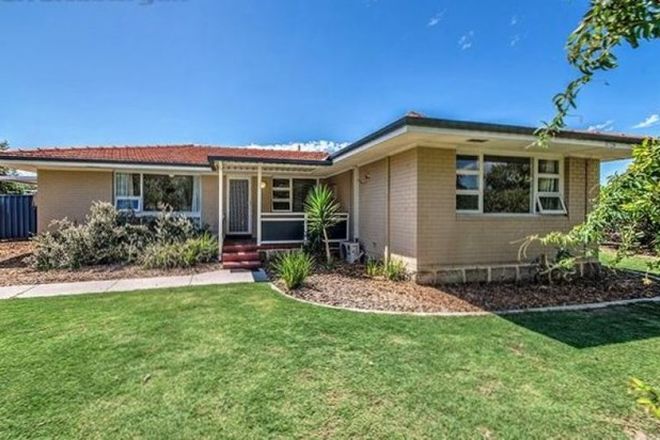 Picture of 71 Mirrabooka Ave, GIRRAWHEEN WA 6064