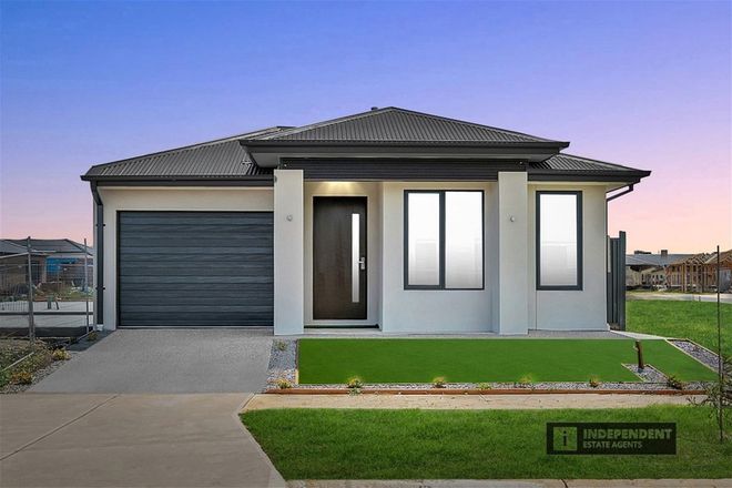 Picture of 17 Songlark Street, MELTON SOUTH VIC 3338