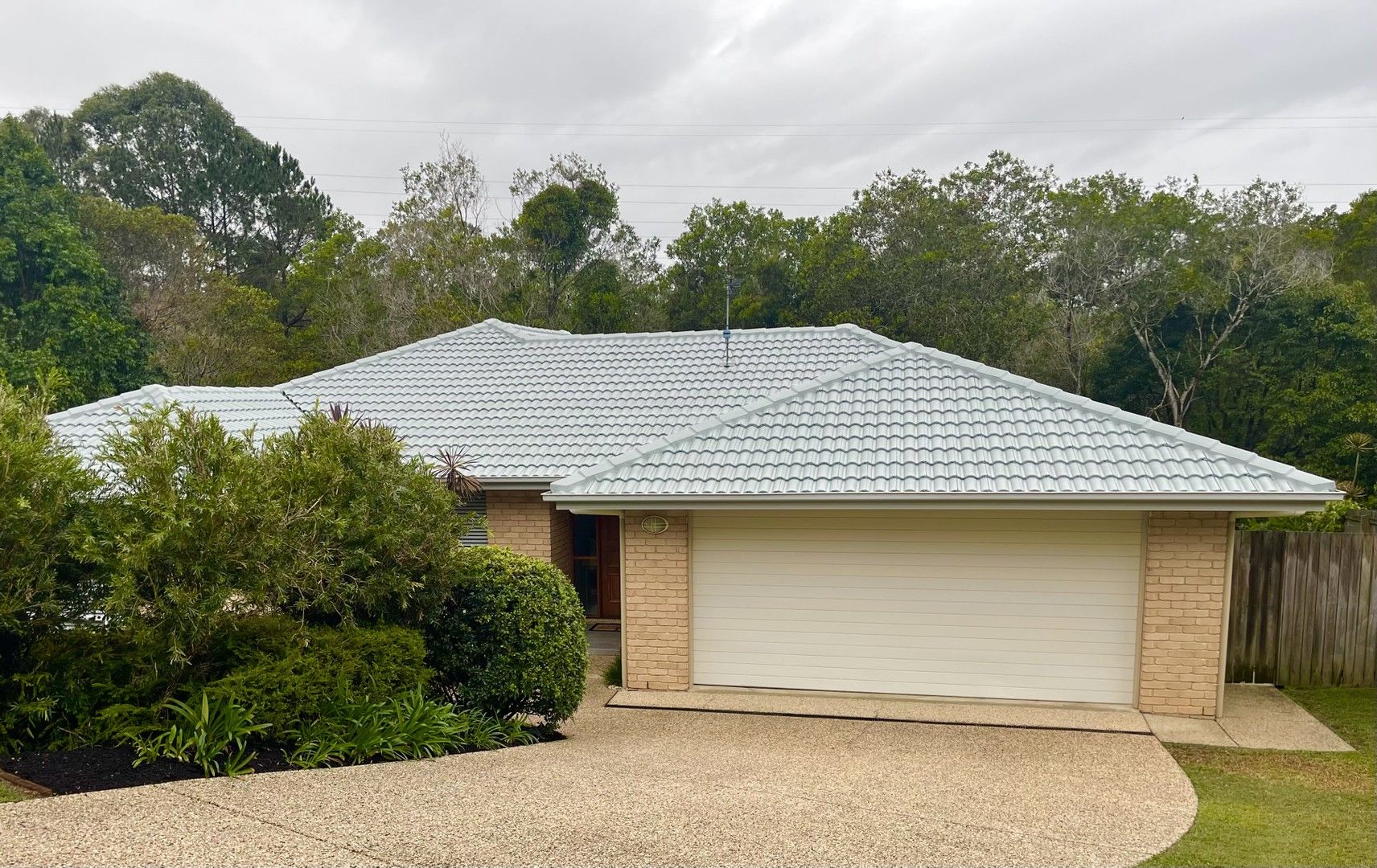 17 Dianella Court, Cooroy QLD 4563, Image 0