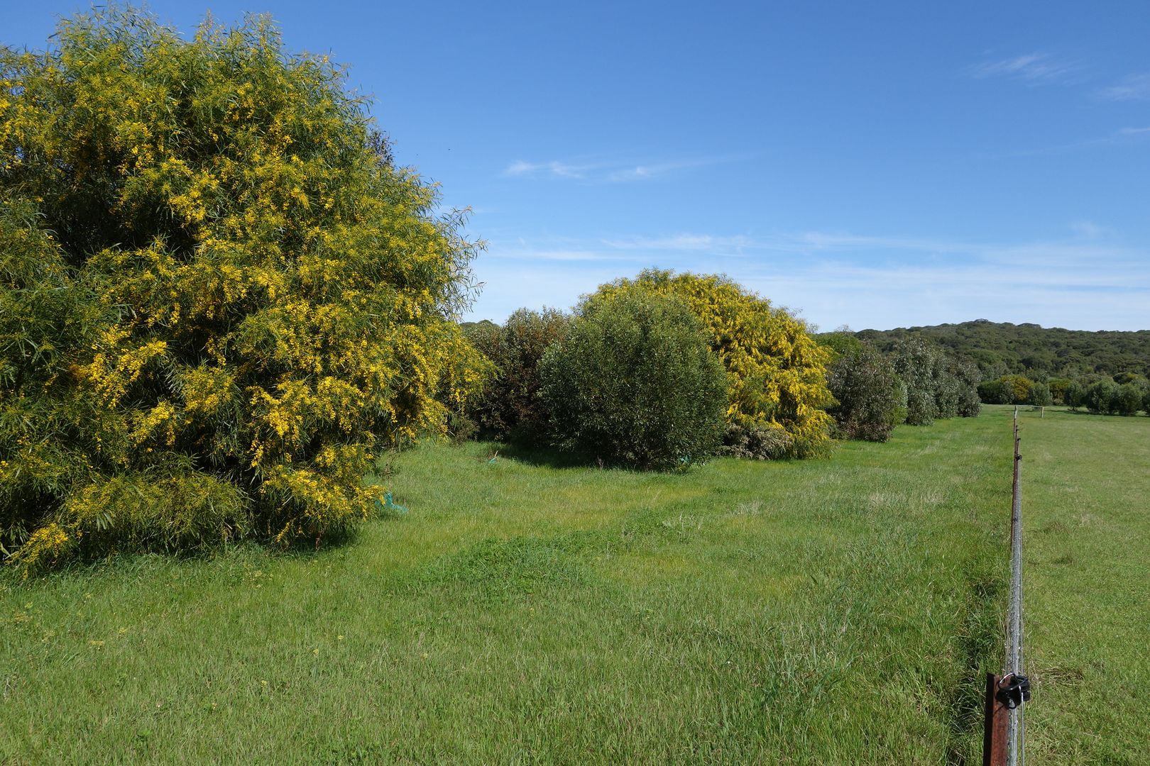 Lot 22 Caves Road, Hamelin Bay WA 6288, Image 1