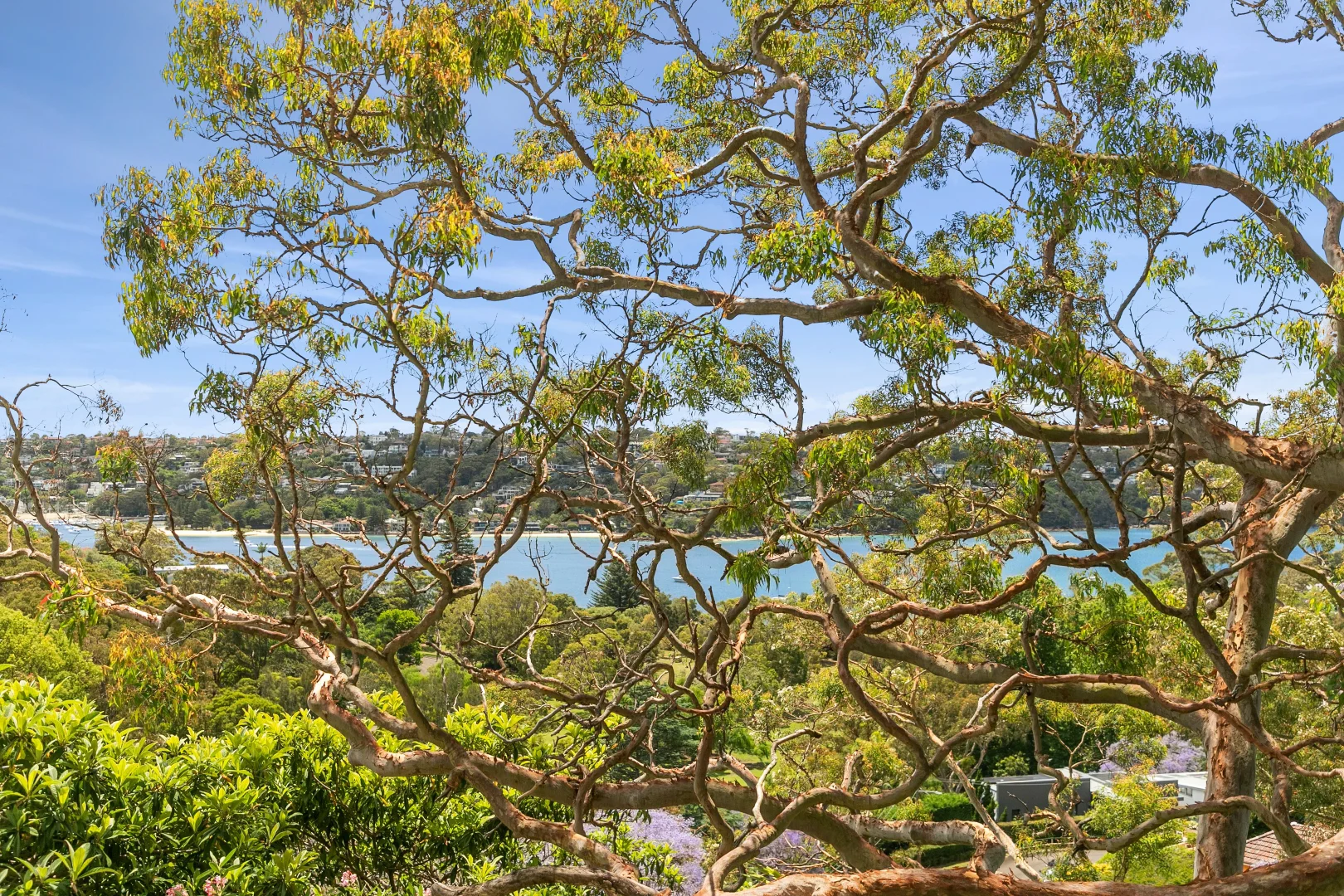 Additional image 10 of 10/34 Upper Fairfax Road, Mosman NSW 2088