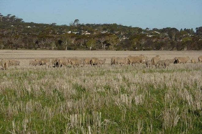 Picture of CORRIGIN WA 6375