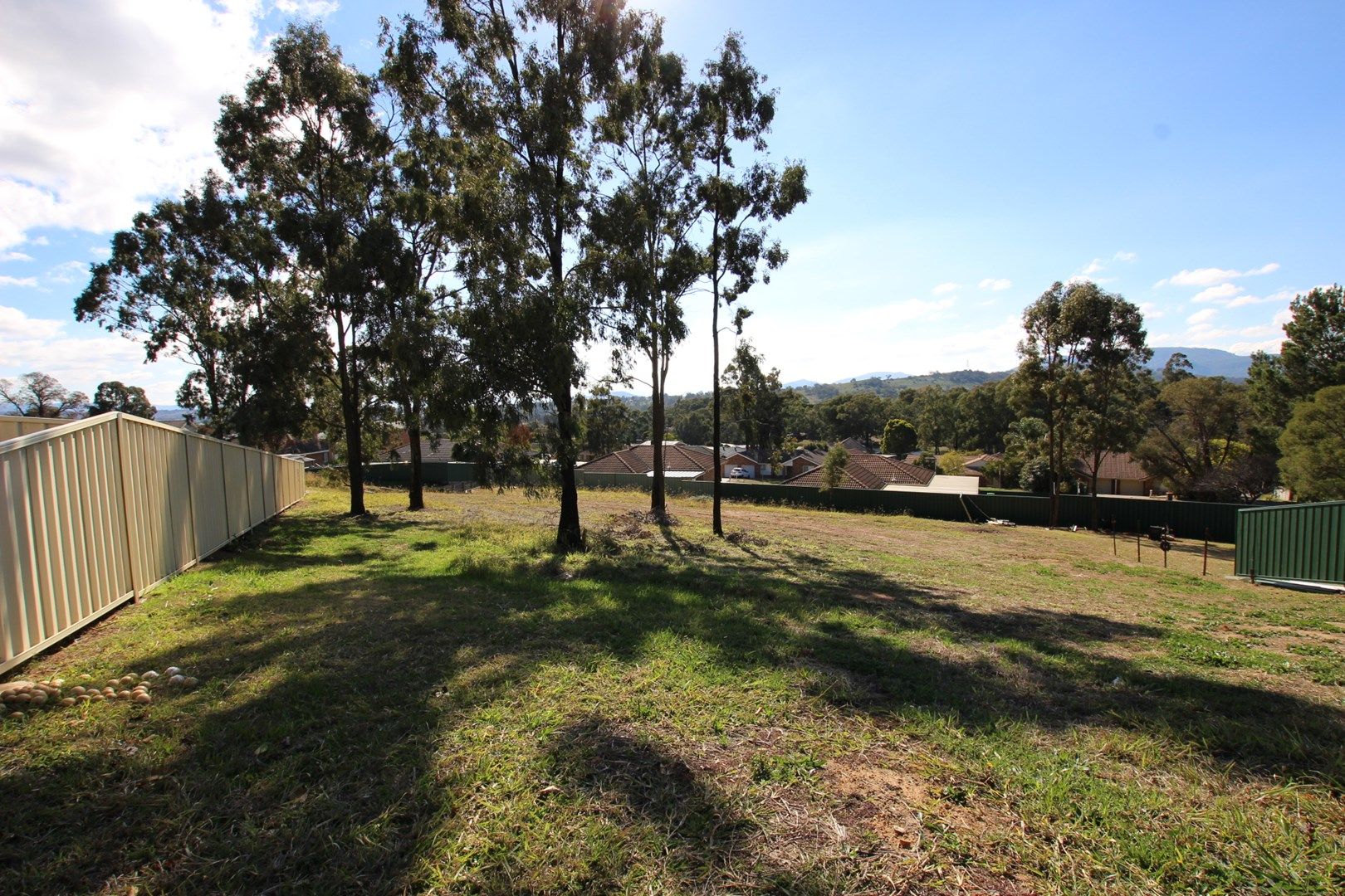 20 Lou Fisher Place, Muswellbrook NSW 2333, Image 0
