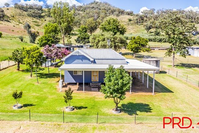 Picture of 303 Ogunbil Road, DUNGOWAN NSW 2340