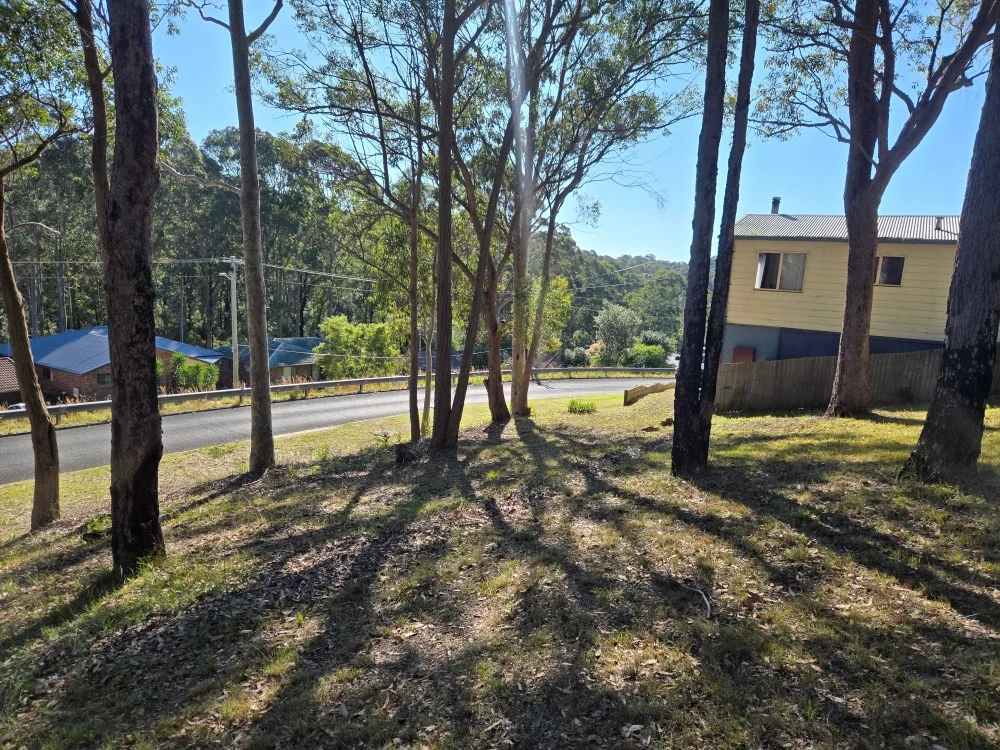 Image 7