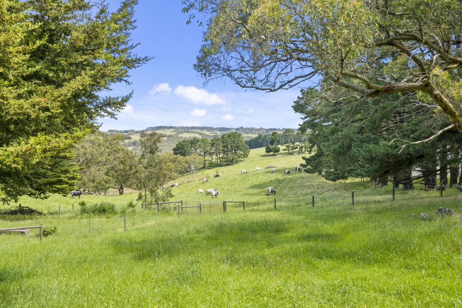 Image 29