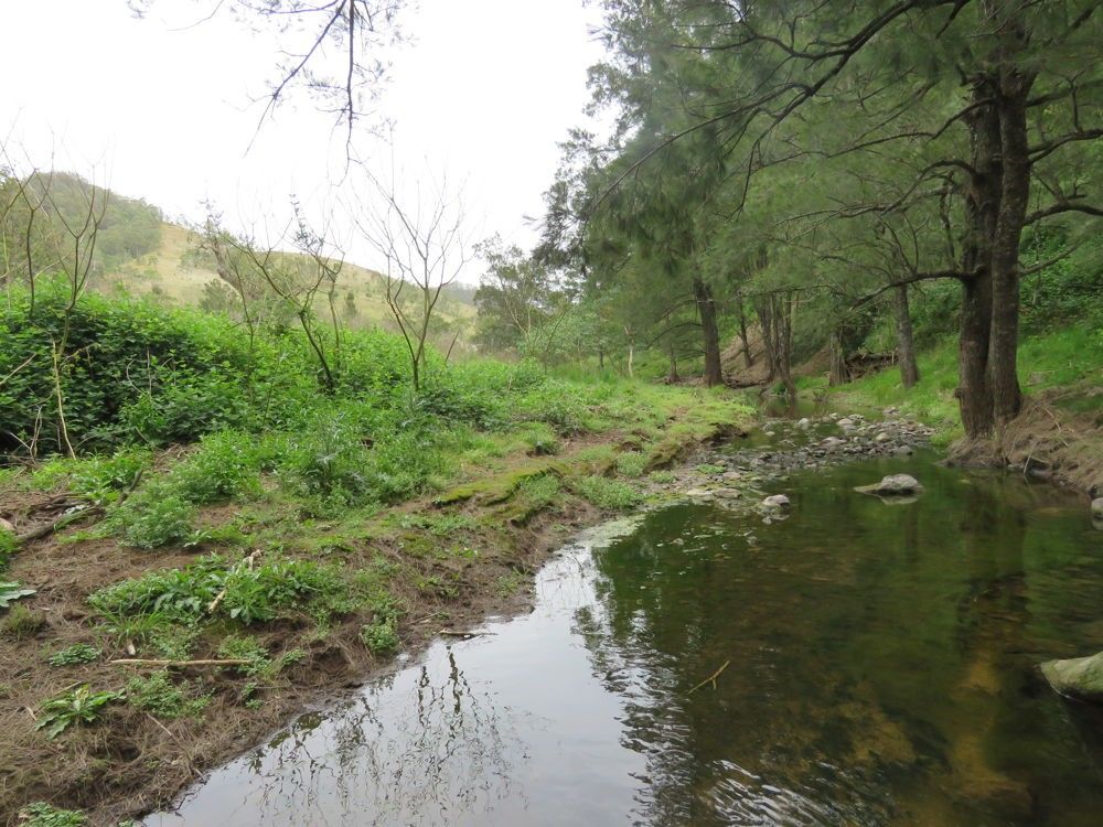 The Alaskans Curricabark Road, Dewitt NSW 2422, Image 0