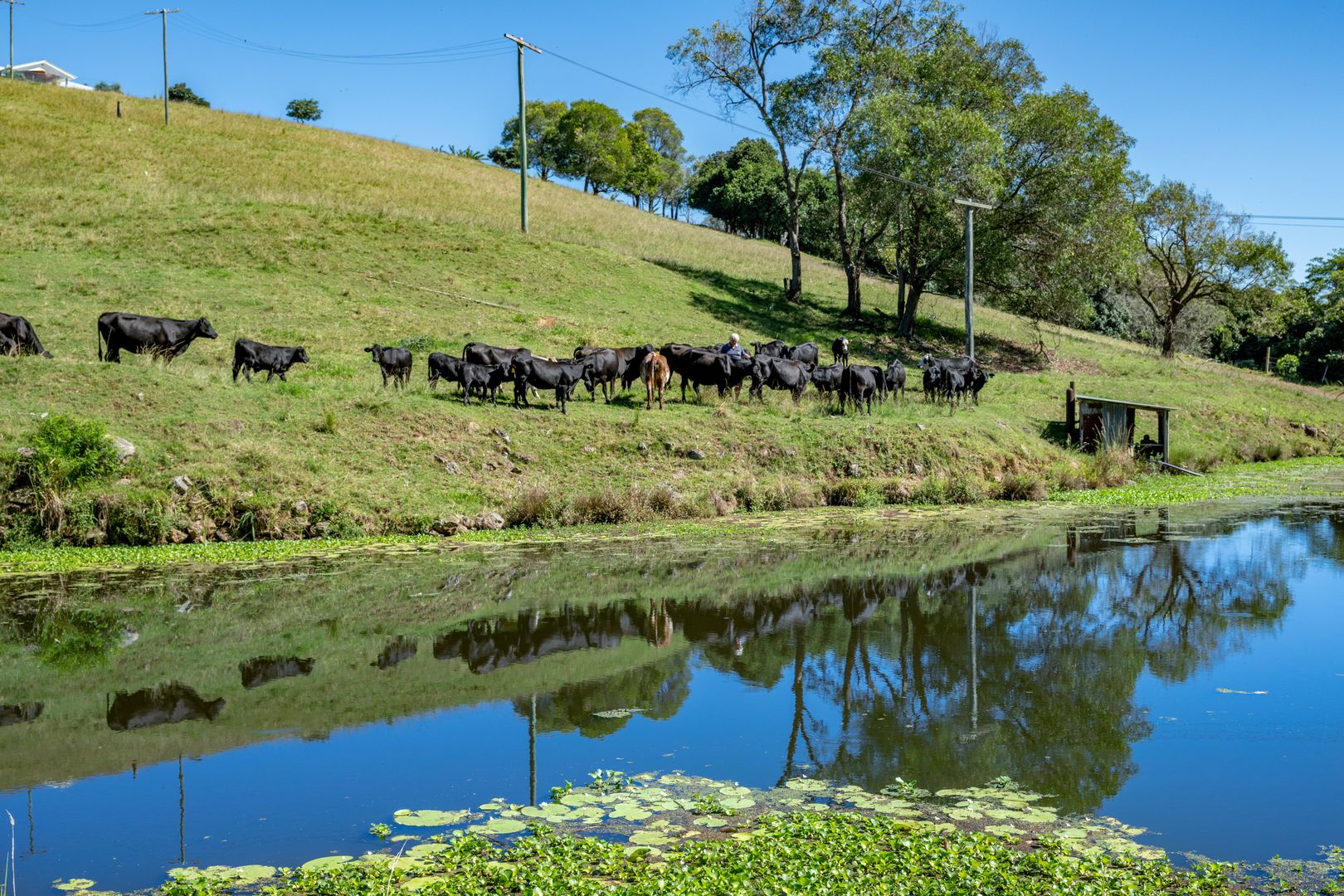 583603 West Mount Cotton Road, Mount Cotton QLD 4165 House for Sale