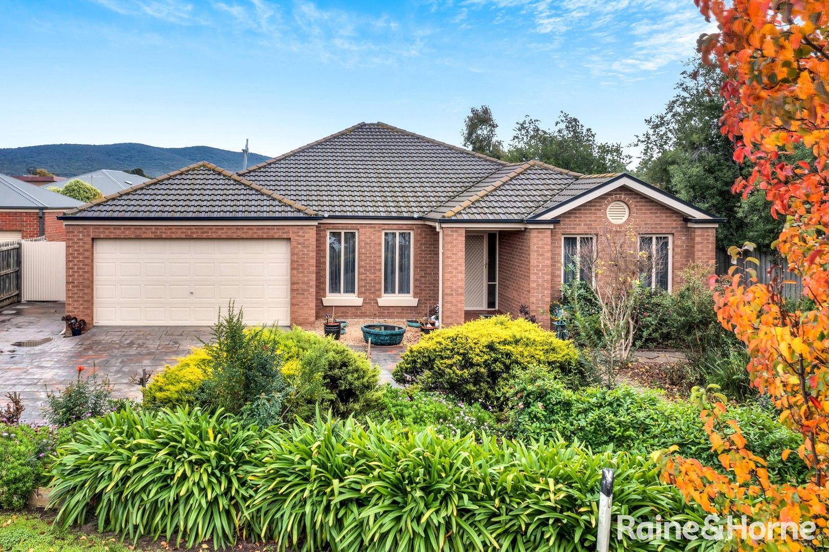 14 Egan Court, Riddells Creek VIC 3431, Image 0