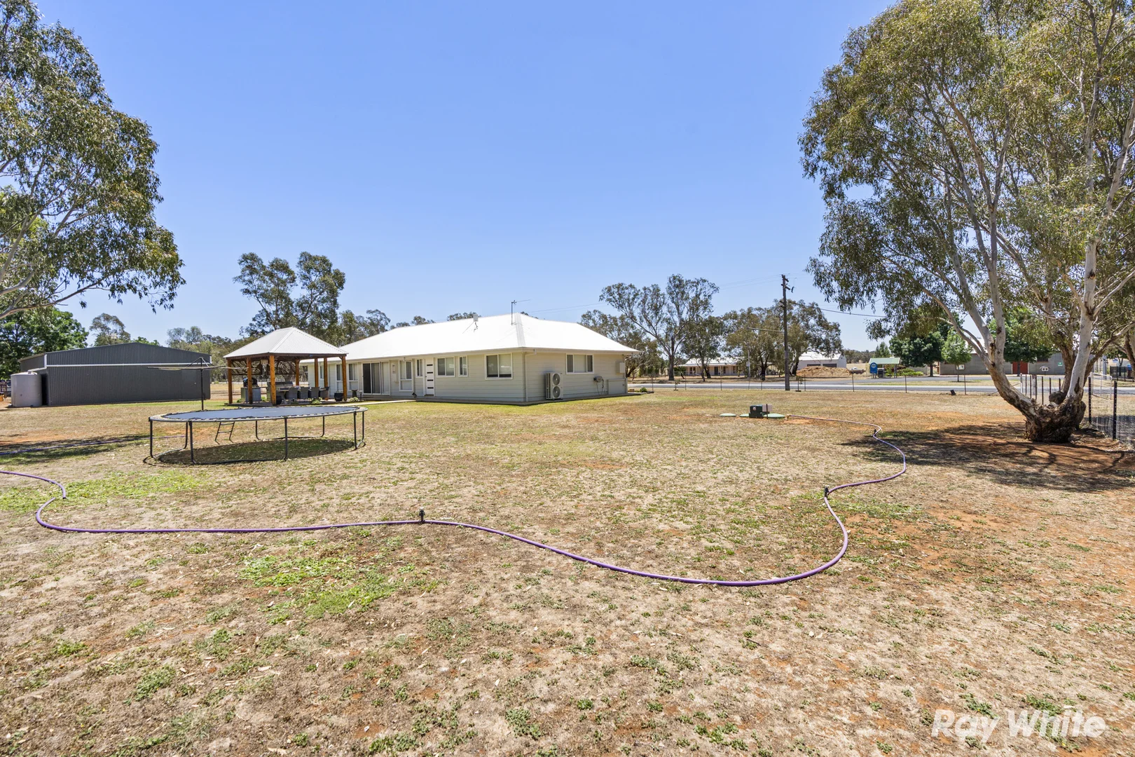 Image 20