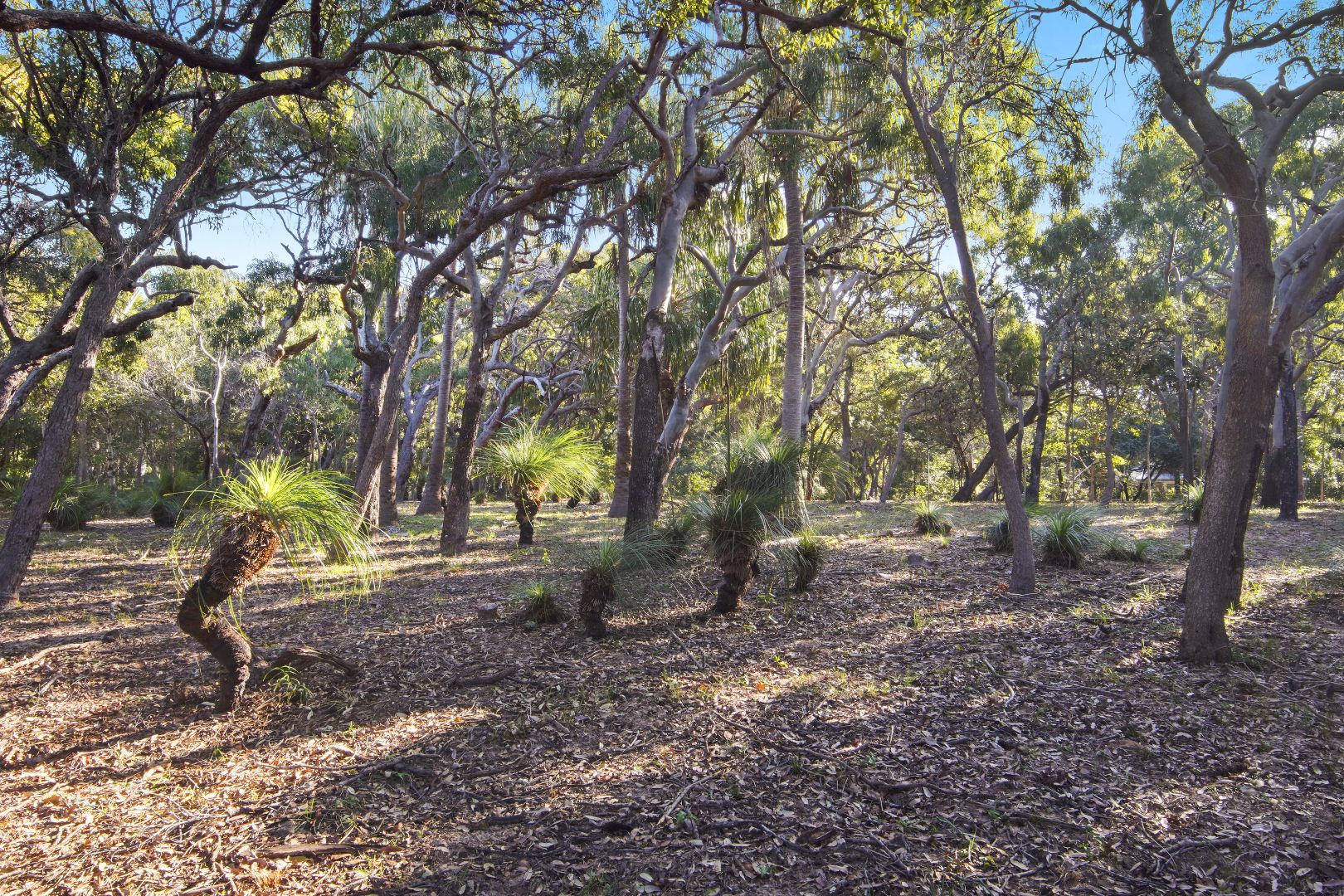 Lot 57 Bloodwood Ave, Agnes Water QLD 4677, Image 2