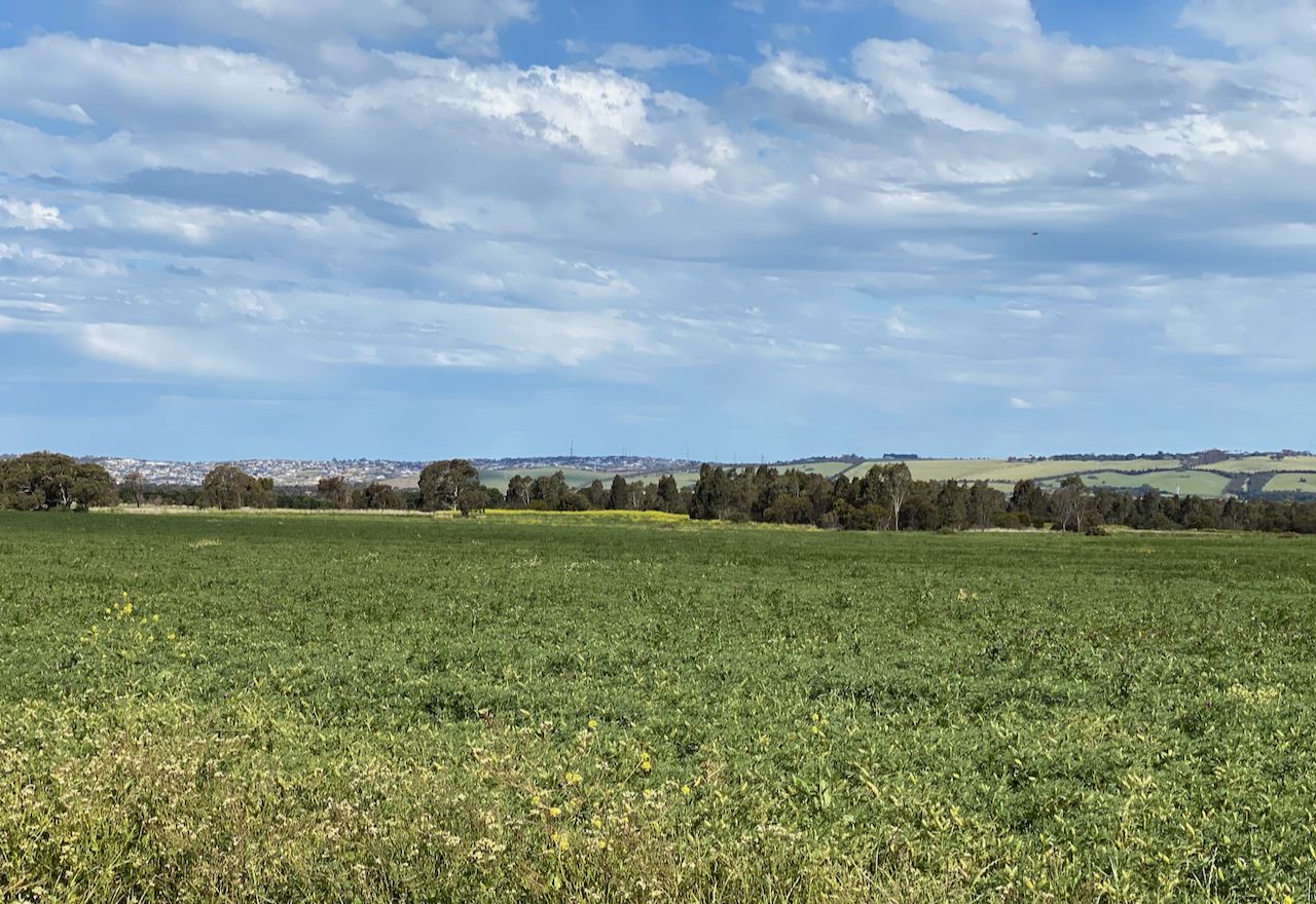 7, Sec. 9 Friend in Hand Road, Stonehaven VIC 3218, Image 1