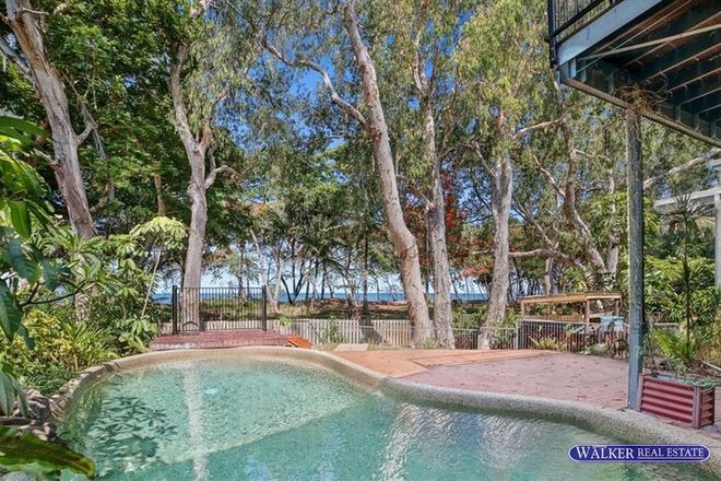 Picture of 20 Poinsettia Street, HOLLOWAYS BEACH QLD 4878